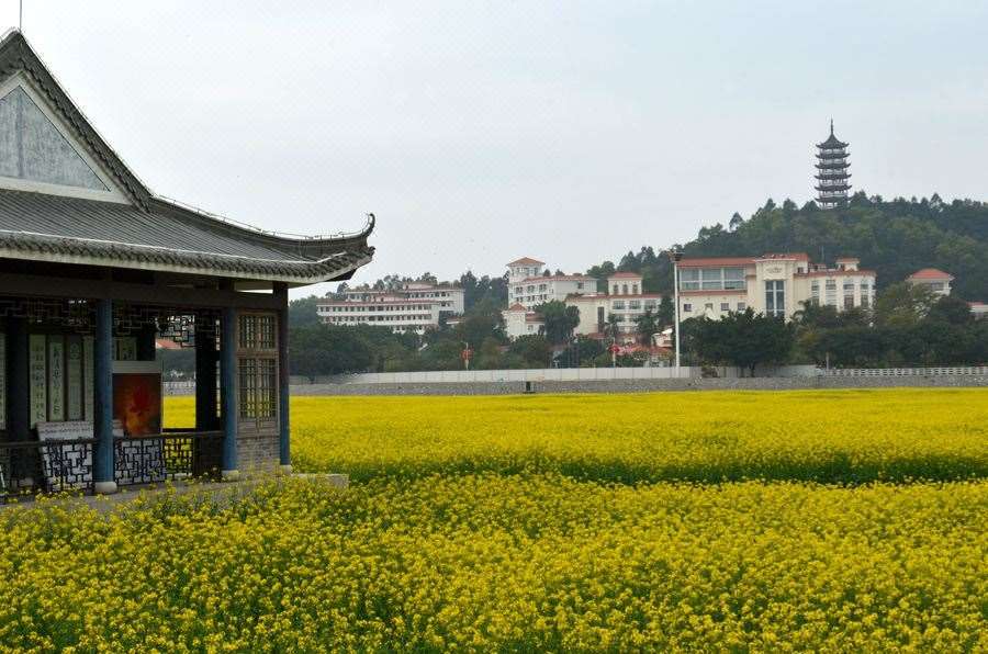Dongguan Goodview Hotel Sangem Qiaotou Comodidades foto
